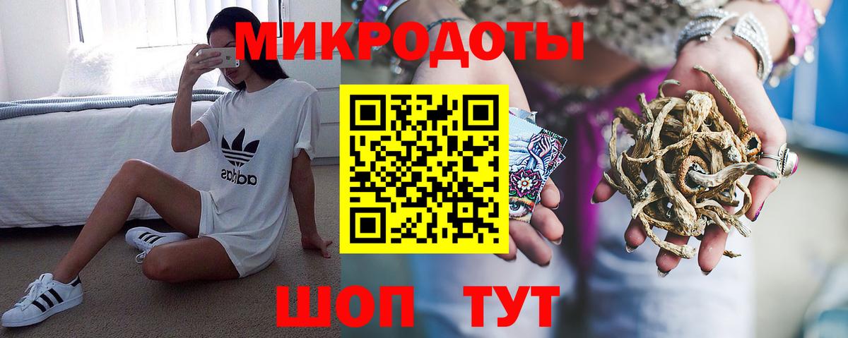 Чернушка  Псилоцибиновые грибы мицелий  Вход с VPN 