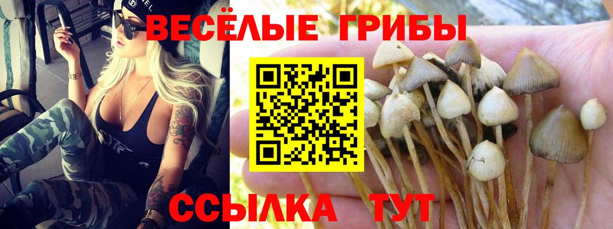 Псилоцибиновые грибы мухоморы Чернушка